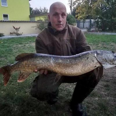  2018 / Josef Wenzl / Waldnaab / Hecht / 97 cm / 14 Pfund