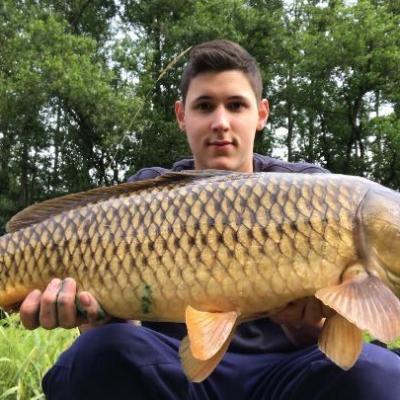 2018 / Max Hahn / Waldnaab / Karpfen / 77 cm / 14 Pfund