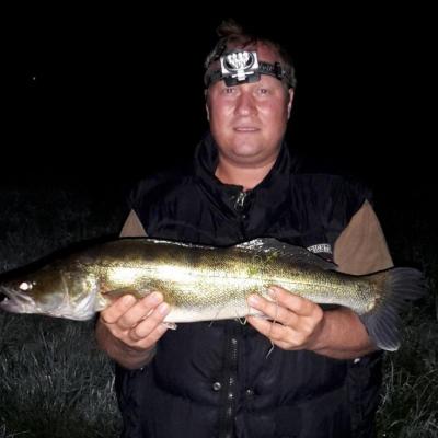 2015 / Fredie Vajdic / Waldnaab / Zander / 65 cm / 4 Pfund 