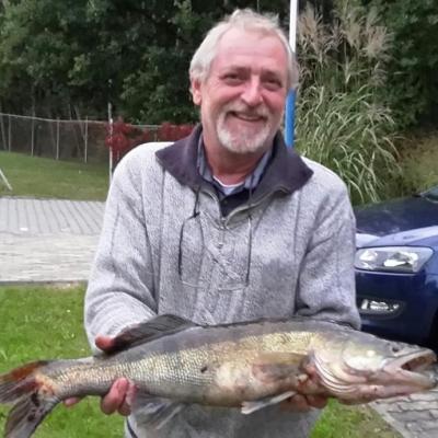 2015 / Helmut Stelzer / Waldnaab / Zander / 68 cm / 2,2 kg